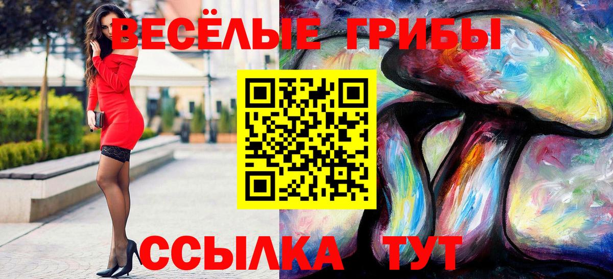 Псилоцибиновые грибы прущие грибы  Вход с VPN  купить   Саяногорск 