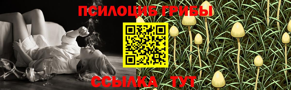 Псилоцибиновые грибы мухоморы Саяногорск